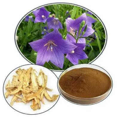 202305061351331e3ad74dc100465791f21447dfb66ba1 202305061351331e3ad74dc100465791f21447dfb66ba1