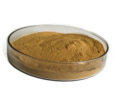 20230509150009432c72e21b8b4889aa4ddbbc20c970d2 20230509150009432c72e21b8b4889aa4ddbbc20c970d2