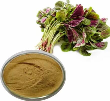 2023051115410344782301c2ae432eabec5b3d2207128d 2023051115410344782301c2ae432eabec5b3d2207128d