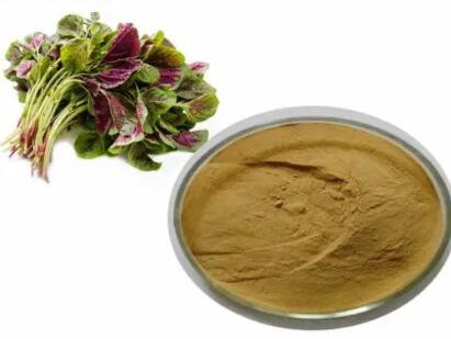 202305111543120228b6bae4f142a7ba4c484ffd0eede8-1 202305111543120228b6bae4f142a7ba4c484ffd0eede8-1