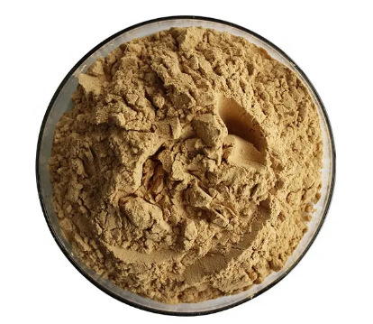 202305191142381295761dd317436db5981196a203fcfa 202305191142381295761dd317436db5981196a203fcfa