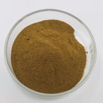 202305241542489ab2538e3a3a431492cdafe1826d1544-1 202305241542489ab2538e3a3a431492cdafe1826d1544-1