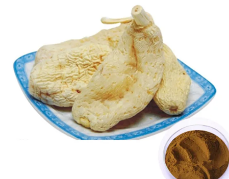 2023052911244436ebeaf41b2d404eb0b4c6dffd62a925 2023052911244436ebeaf41b2d404eb0b4c6dffd62a925