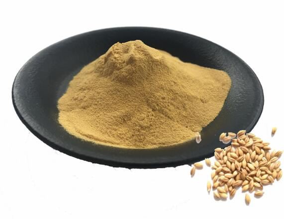 malted-powder56458957997 Malted Powder56458957997