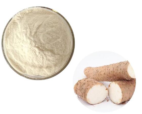 Chiết xuất Wild Yam – GREEN AGRI