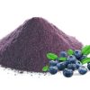 blueberry-powder20039187966 Blueberry Powder20039187966
