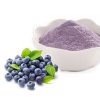 blueberry-powder08096688669 Blueberry Powder08096688669
