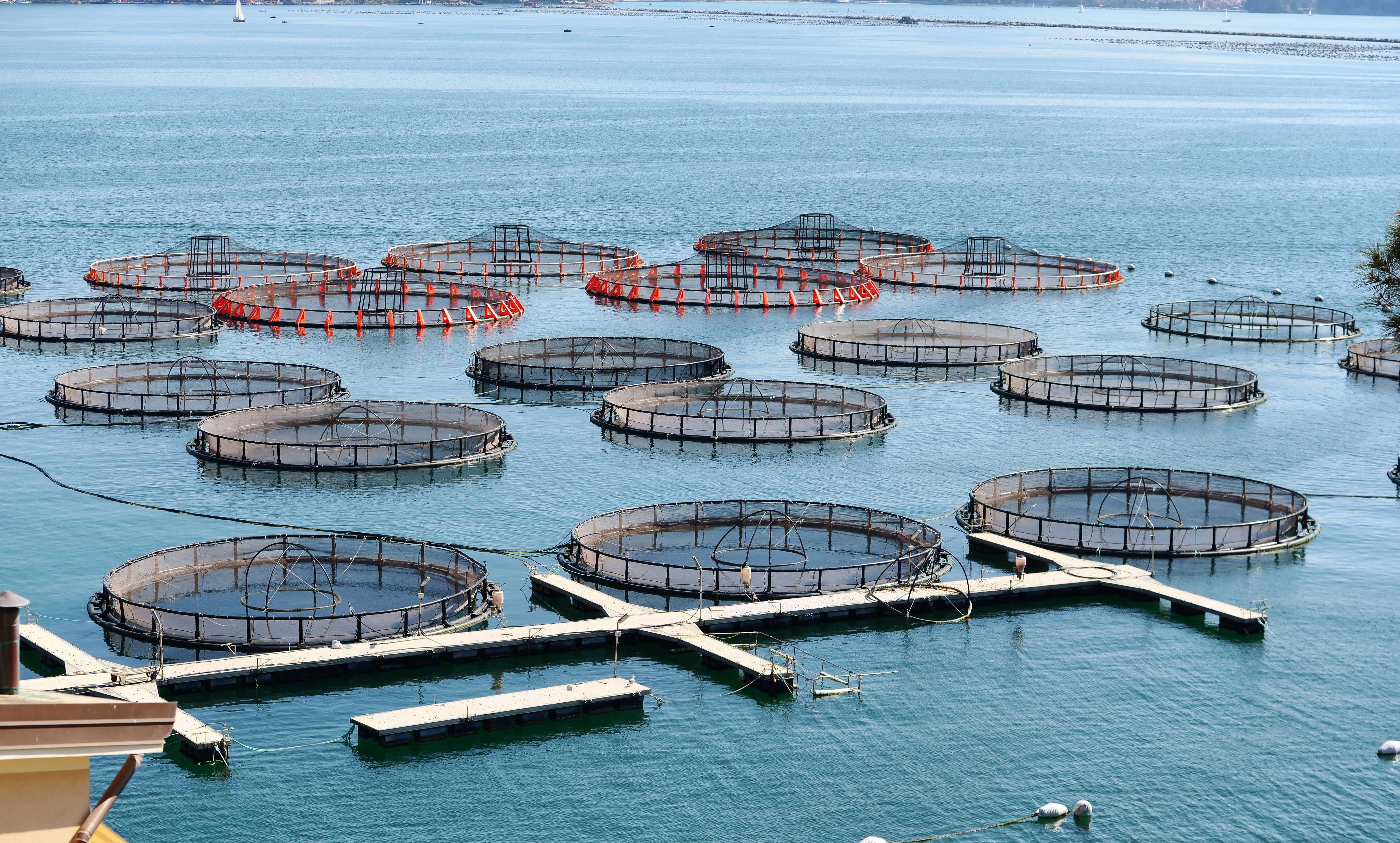 nuôi trồng thủy sản