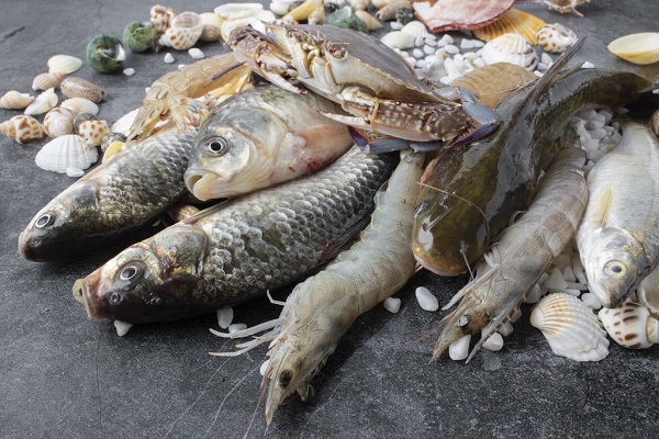 Công dụng của bột Chlorella