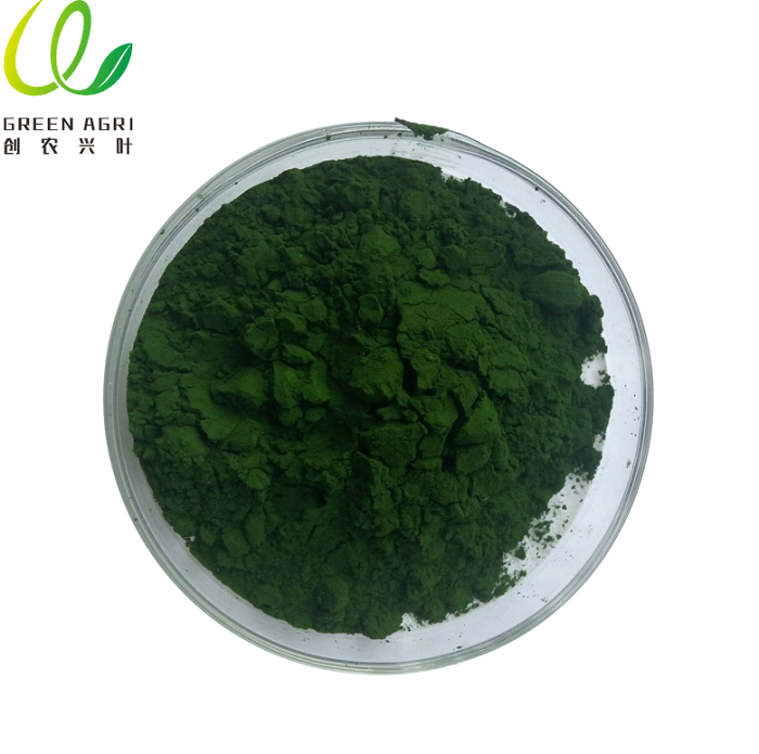 Bột tảo Chlorella hữu cơ