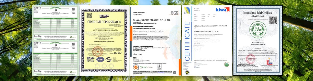 chứng nhận của green gri