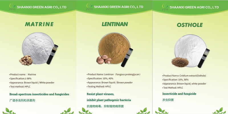 Gặp gỡ chúng tôi tại GROWTECH ANTALYA