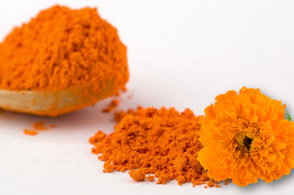 Lutein và Zeaxanthin: Các carotenoid tự nhiên dùng trong thức ăn chăn nuôi.