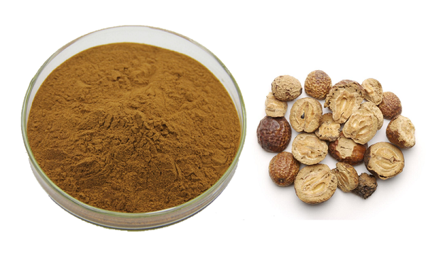 Bột Toosendanin số lượng lớn