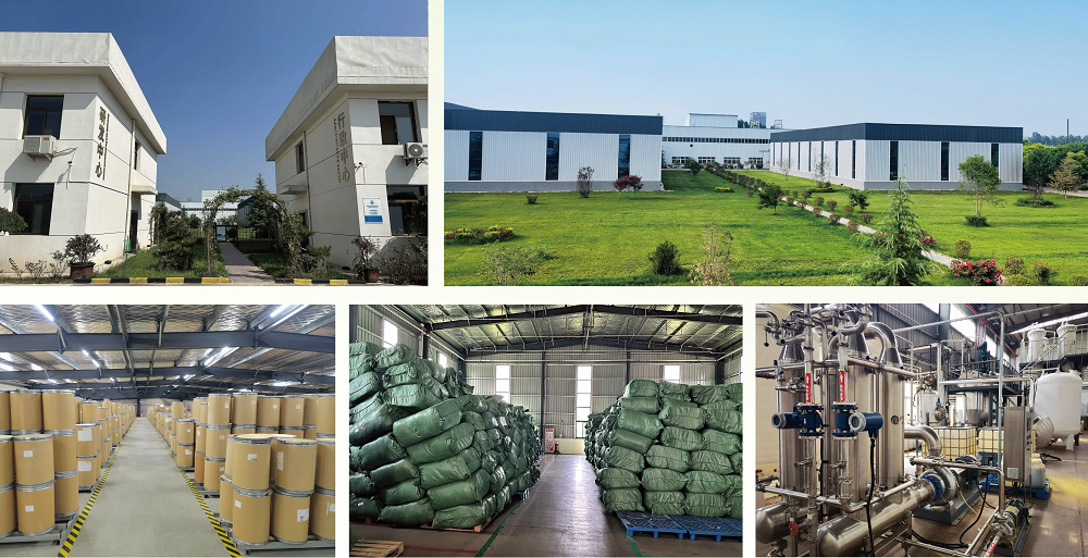 Nhà máy Green Agri