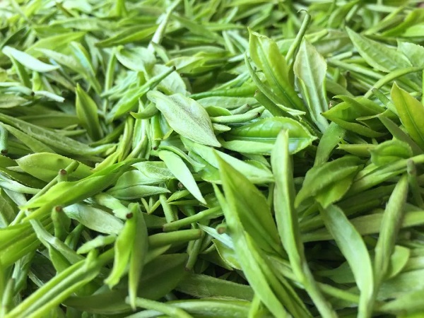trà xanh