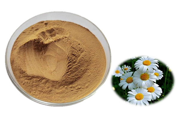 Bột hoa cúc Pyrethrum