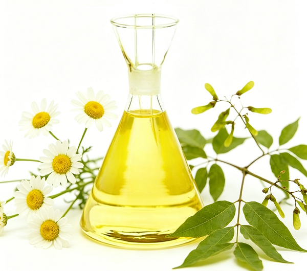 Pyrethrins hay dầu neem: Giải pháp tự nhiên tốt nhất để diệt trừ sâu bệnh?