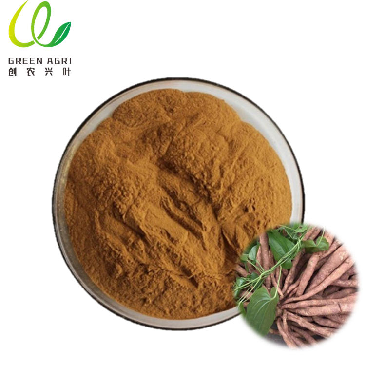 Nhà cung cấp chiết xuất Stemona Japonica